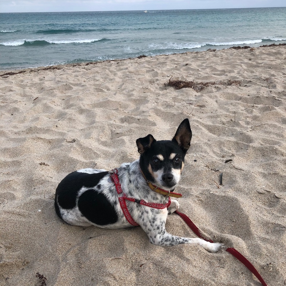 Meet your Posher, Kristin